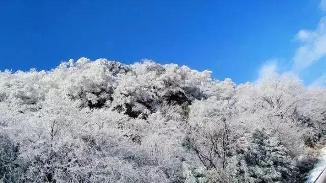 奥特曼救公主2
