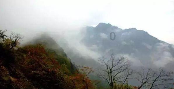 杀手6