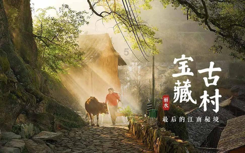 乒乓球横板和直板的比赛的技术怎样用