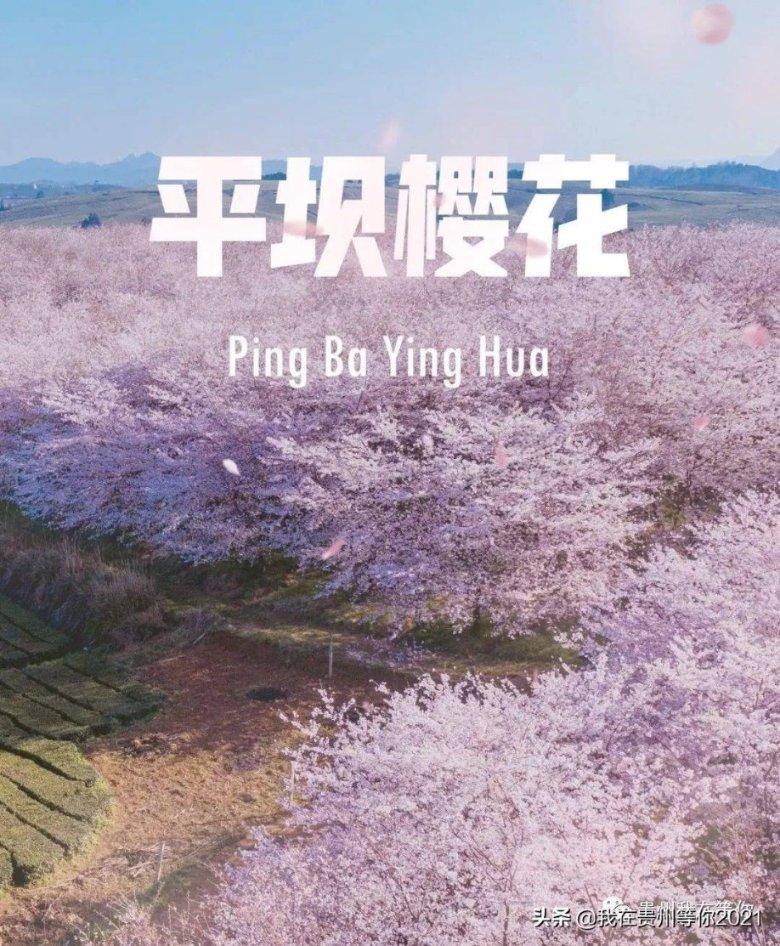 自动驾驶未来之路——交通与运载工程学科发展论坛在渝举办