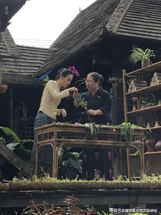 脑洞小老弟无实名认证