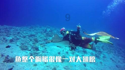 极限摩托大挑战
