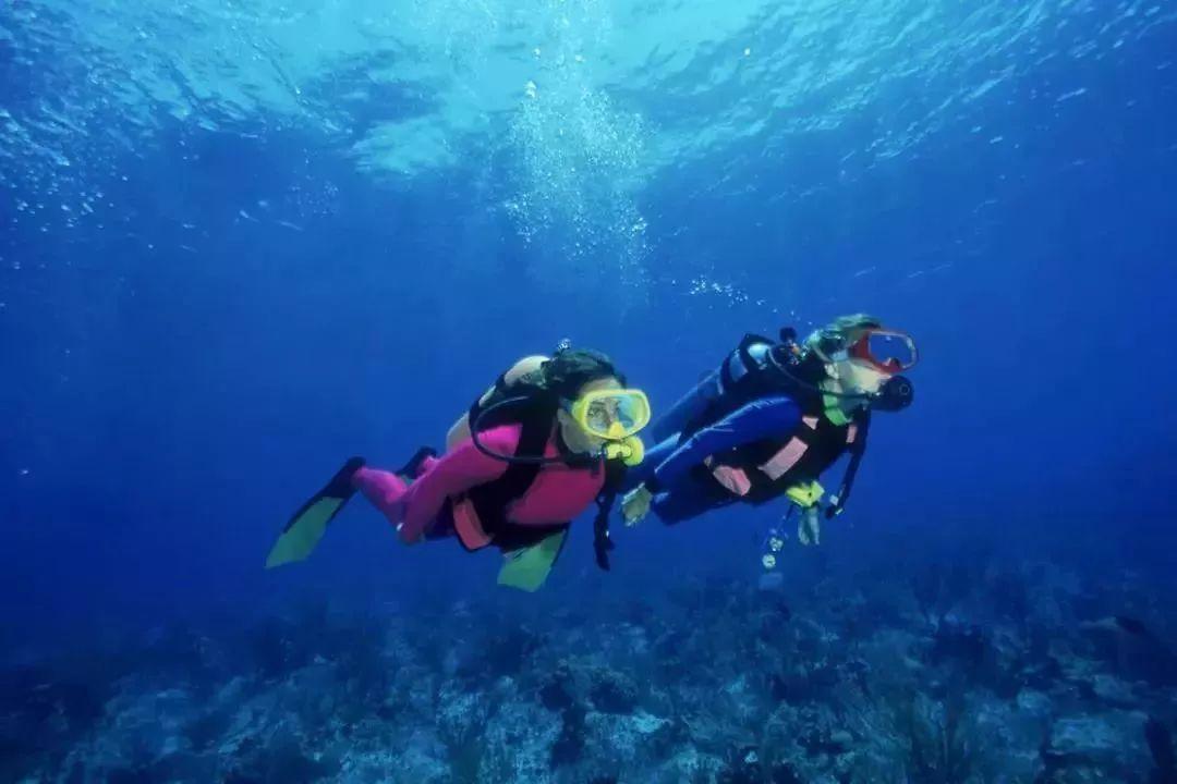 战僵特警