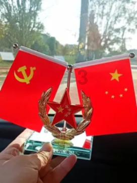 用志愿服务诠释“别样浪漫”