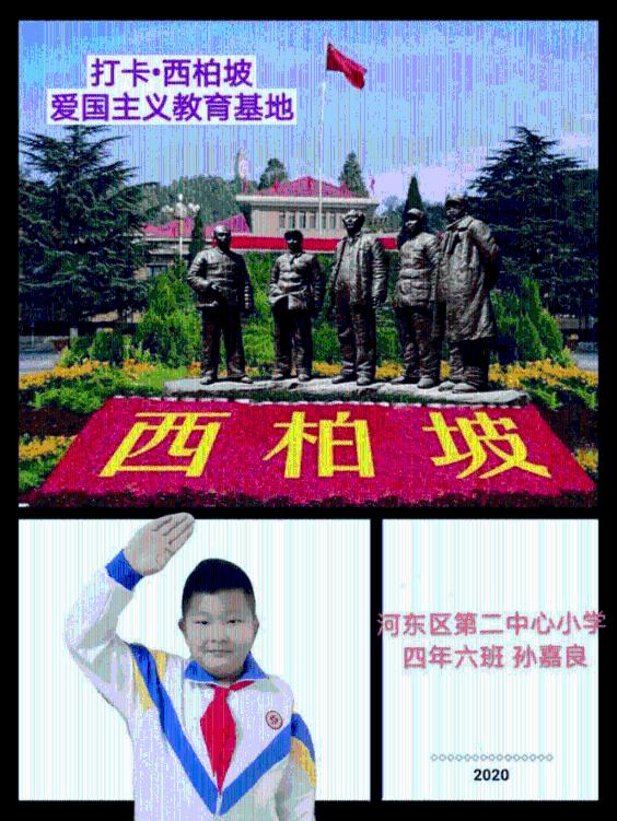 集邮者的收藏