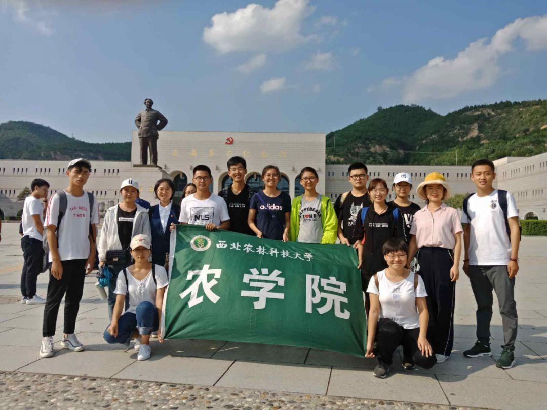 觅朵：菱形脸的五官较窄长，眉形过直会进一步放大面部的不协调感