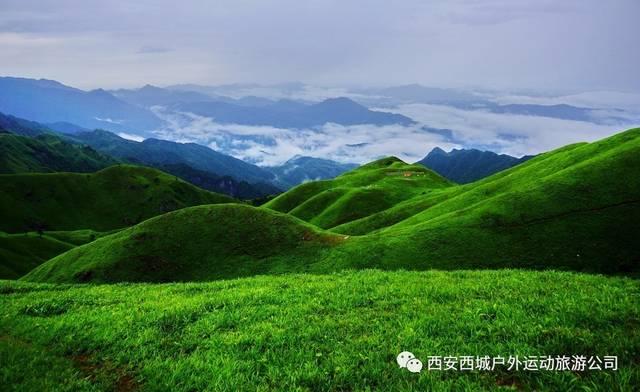 终止合同和解除合同的区别,解答你的疑问