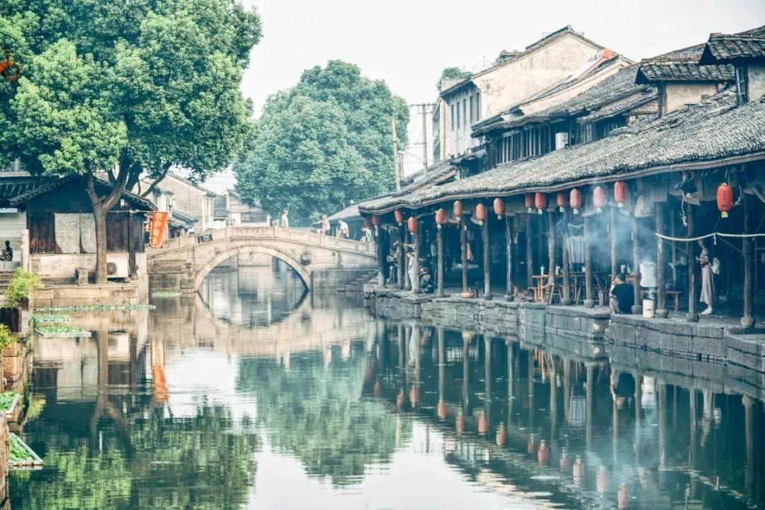 章鱼和鱿鱼有什么区别？